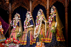 Daily Darshan