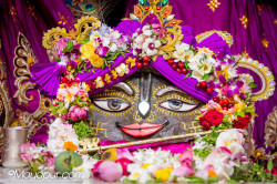 Daily Darshan