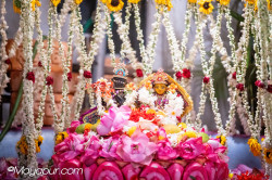 Daily Darshan