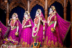 Daily Darshan