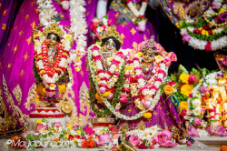 Daily Darshan