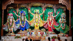 Daily Darshan