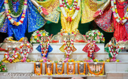 Daily Darshan