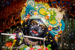 Daily Darshan