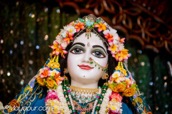 Daily Darshan