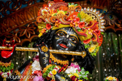 Daily Darshan
