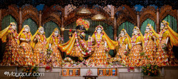 Daily Darshan