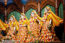 Daily Darshan