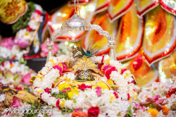 Daily Darshan