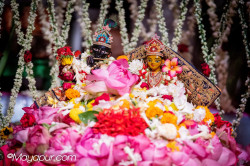 Daily Darshan