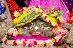 Daily Darshan