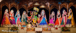 Daily Darshan