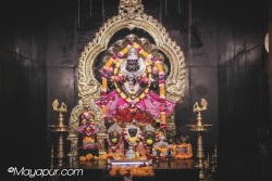 Daily Darshan