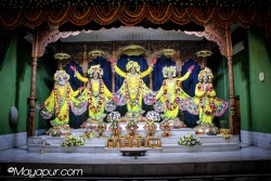 Daily Darshan
