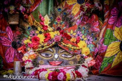 Daily Darshan