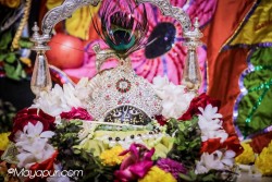 Daily Darshan