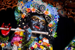 Daily Darshan