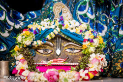 Daily Darshan