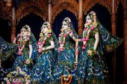 Daily Darshan