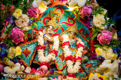 Daily Darshan
