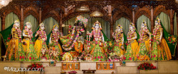 Daily Darshan