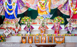 Daily Darshan