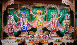 Daily Darshan