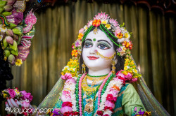 Daily Darshan