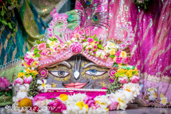 Daily Darshan