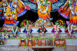 Daily Darshan