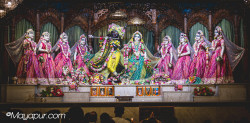 Daily Darshan