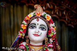 Daily Darshan