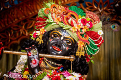 Daily Darshan