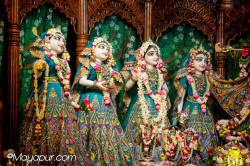 Daily Darshan