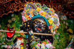 Daily Darshan