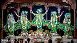 Daily Darshan
