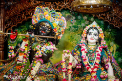 Daily Darshan