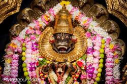 Daily Darshan