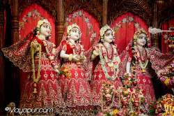 Daily Darshan