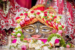 Daily Darshan