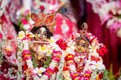 Daily Darshan