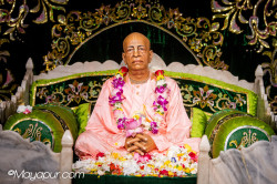 Daily Darshan
