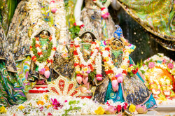 Daily Darshan
