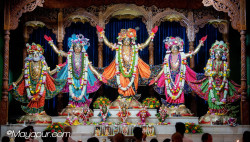 Daily Darshan
