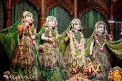Daily Darshan