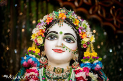 Daily Darshan