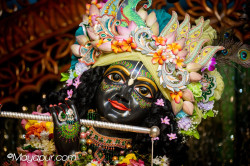 Daily Darshan