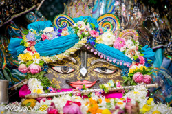 Daily Darshan