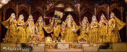 Daily Darshan