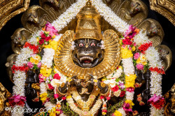 Daily Darshan